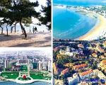 �ൺ����������ִ�����ס��